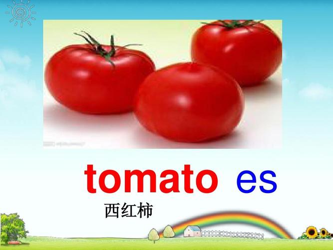 tomato_tomato的复数