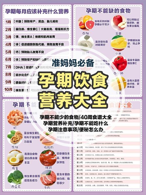 孕妇营养补充_孕妇营养补充食品特殊膳食