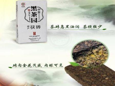 黑茶加盟_黑茶加盟费多少 黑茶加盟怎么样