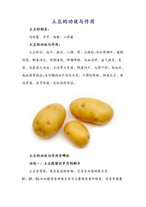 土豆的作用及功效作用_土豆的营养价值与食用功效