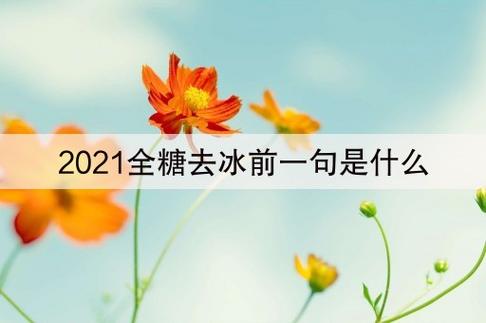 2021全糖去冰什么意思_全糖去冰是什么意思