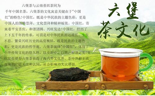 六堡茶_六堡茶的功效与作用