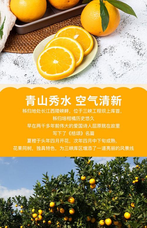 湖北秭归夏橙_湖北秭归夏橙简介