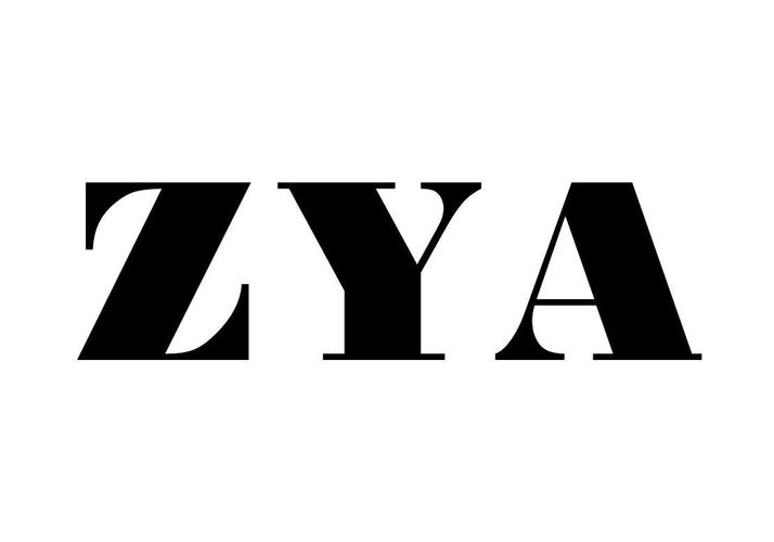 zya_zya中文啥意思