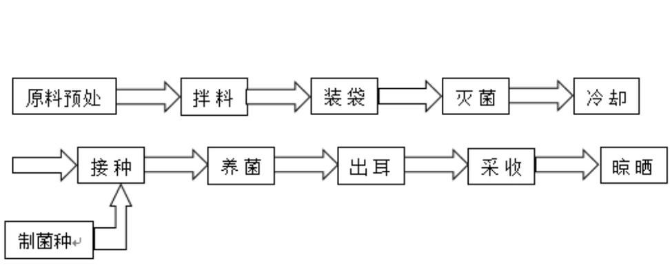 木耳批发价格_木耳批发价格表