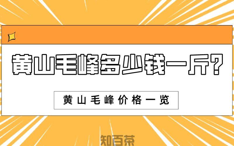 黄山毛峰价格_黄山毛峰价格明细表2023的价格