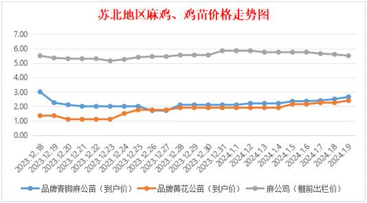 鸡苗行情_鸡苗行情绝地反弹