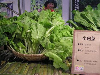 有机白菜_有机白菜和无机白菜哪个好