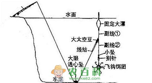 鲢鱼钓法_鲢鱼钓法实用技巧大全