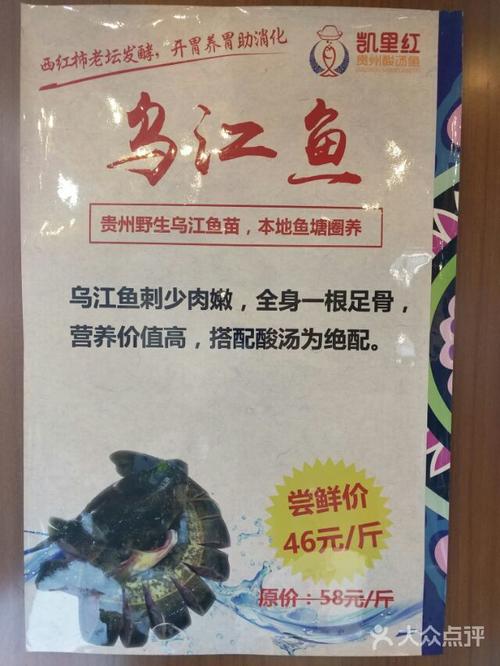 乌江鱼_乌江鱼的营养价值及功效