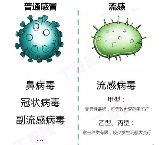 小儿上呼吸道感染_小儿急性呼吸道感染最常见的病原体