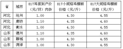 毛鸡价格_毛鸡价格行情今日报价