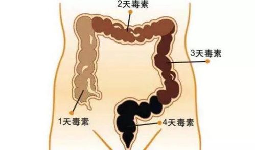 如何洗肠_如何洗肠才能洗干净