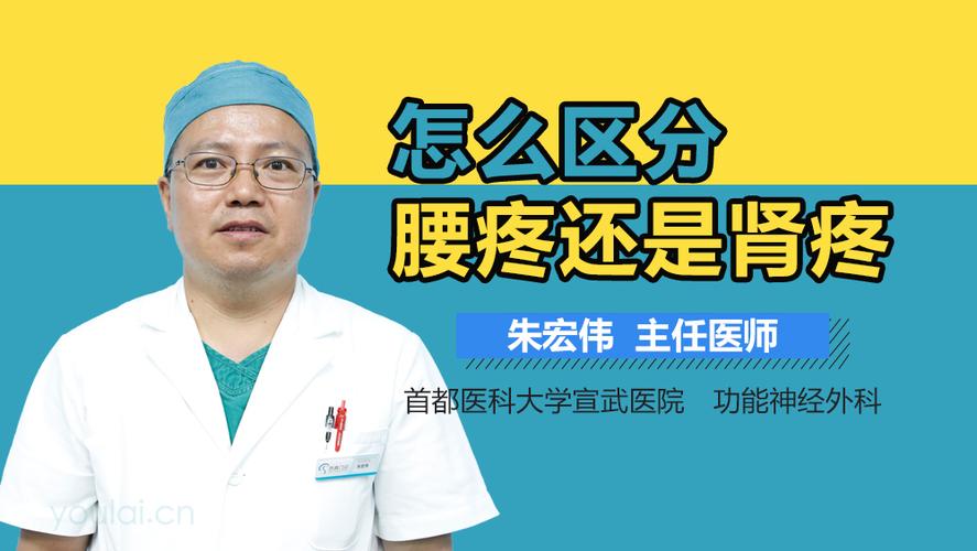 肾疼和腰疼的区别图_肾疼和腰疼的区别图解 位置图