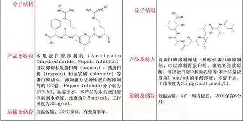 蛋白酶的作用_碱性蛋白酶的作用