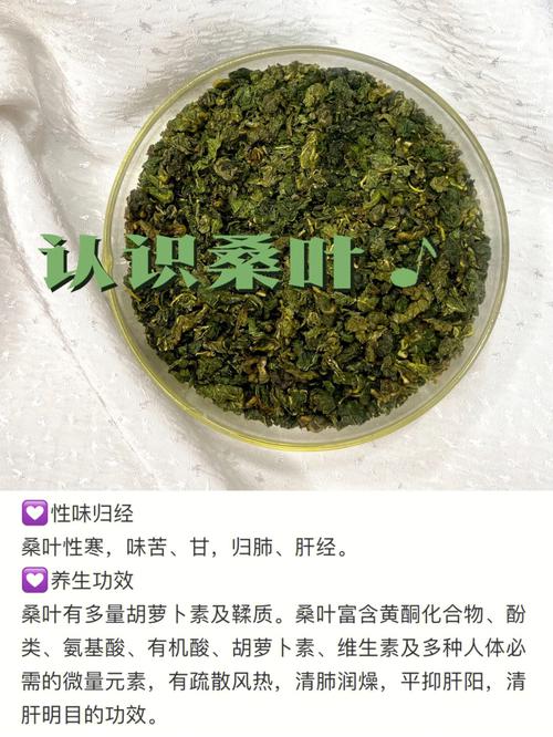 桑叶茶的功效_桑叶茶的功效与作用泡水喝的功效