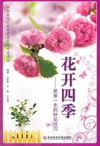 花开四季_花开四季下一句接什么