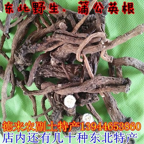 蒲公英根的功效与作用_蒲公英根的功效与作用的功能与主治